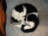 PICT0005.JPG