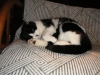 PICT0006.JPG