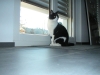 PICT0022.JPG