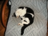 PICT0002.JPG
