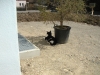 PICT0008.JPG