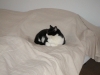 PICT0001.JPG