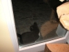 PICT0012.JPG