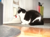 PICT0004.JPG