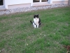 PICT0024.JPG