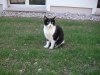 PICT0025.JPG
