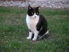 PICT0026.JPG