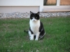 PICT0027.JPG