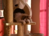 PICT0002