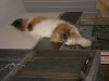DSCN0149.JPG