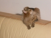 DSCN0150.JPG