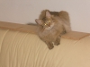 DSCN0151.JPG
