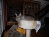 DSCN0166.JPG