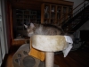 DSCN0167.JPG
