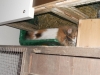DSCN0177.JPG