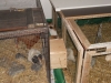 DSCN0178.JPG