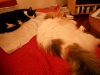 DSCN0189.JPG
