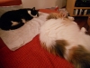 DSCN0190.JPG