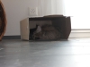 DSCN0196.JPG