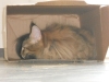 DSCN0197.JPG