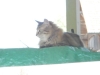 DSCN0266.JPG