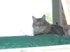 DSCN0267.JPG