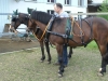 PICT0050