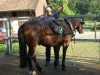 PICT0088