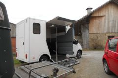 Pferdetransporter