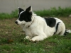 PICT0151