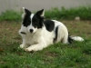 PICT0152