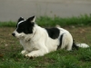 PICT0153