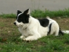 PICT0154