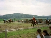 25.05.2001
