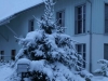 PICT0007