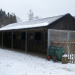 riana-in-altbueron-1