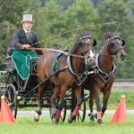 Foto: Karin Forrer-Schönenberger, Mosnang