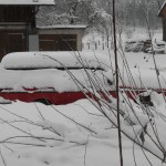 20141230_winter_001