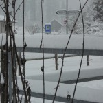 20141230_winter_003