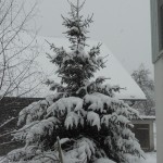 20141230_winter_006