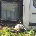 DSCN1404