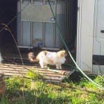 DSCN1408